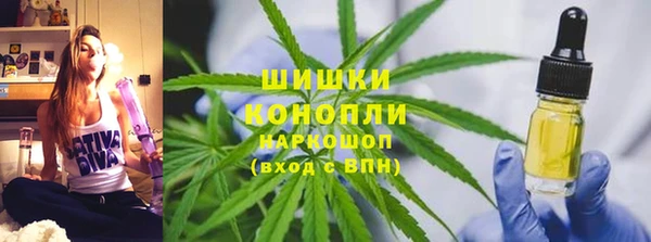 гидра Абаза