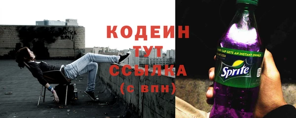 гидра Абаза