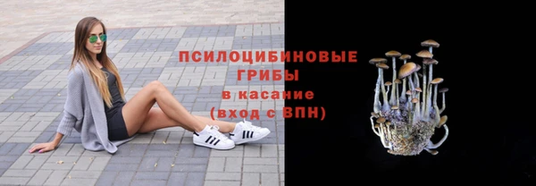 гидра Абинск