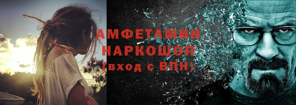 гидра Абаза