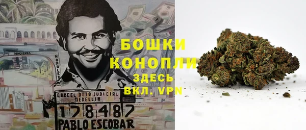 гидра Абаза