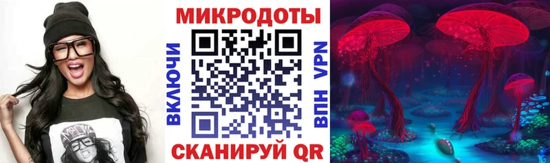 даркнет сайт  kraken рабочий сайт  Псилоцибиновые грибы MAGIC MUSHROOMS  Чкаловск 